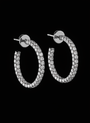 Aurore Hoop Earrings