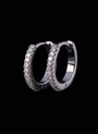Celeste Huggie Earrings