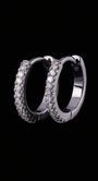 Celeste Huggie Earrings
